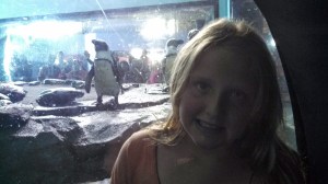 IMG_20130914_151235_515