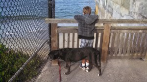 IMG_20130914_172203_153