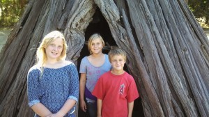 IMG_20130928_145222_194