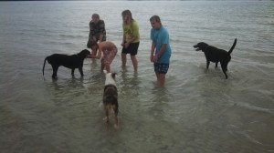 IMG_20140126_143218_861