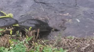 IMG_20140129_160818_977