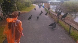 IMG_20140129_161854_021