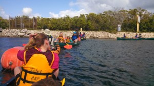 IMG_20140201_114902_964