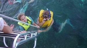 IMG_20140206_143727_581