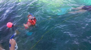 IMG_20140206_143732_806