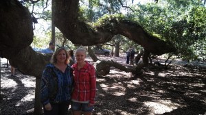 IMG_20140309_134428_630