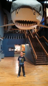 IMG_20140312_133650_038