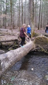 IMG_20140315_173402_768