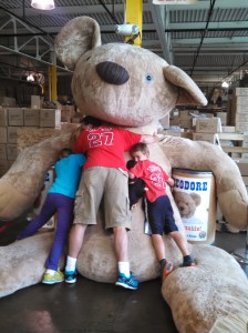 IMG_20140607_152901_752