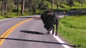 IMG_20140619_170513_874