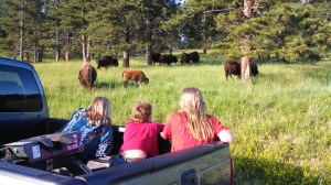 IMG_20140619_183520_384