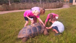 IMG_20140620_183102_911