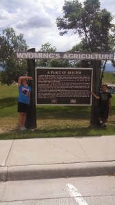 IMG_20140621_153617_223