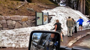 IMG_20140626_144541_675