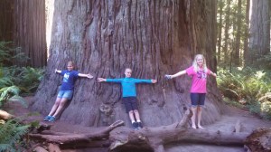 IMG_20140719_145056_699