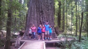 IMG_20140722_145453_335