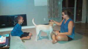 IMG_20140817_213123_493