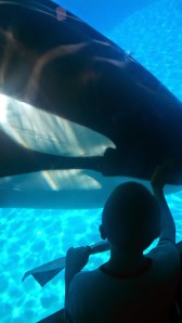 IMG_20140826_130410_044